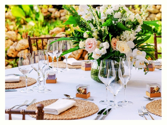 Collaborations with Planners Elsa Deras Services