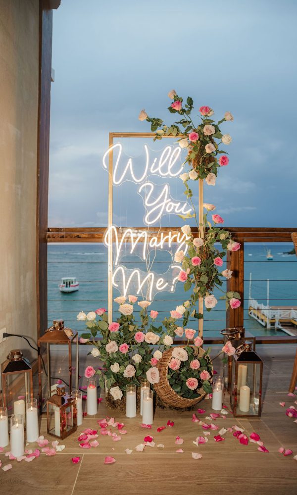 1a7ad9dd53aeb07f9decdfcfaf95c49d-xxlarge