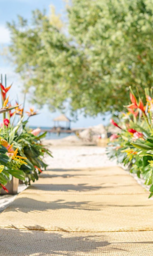 1e0a9966a38a6bfda0d0daa0977e6678-xxlarge