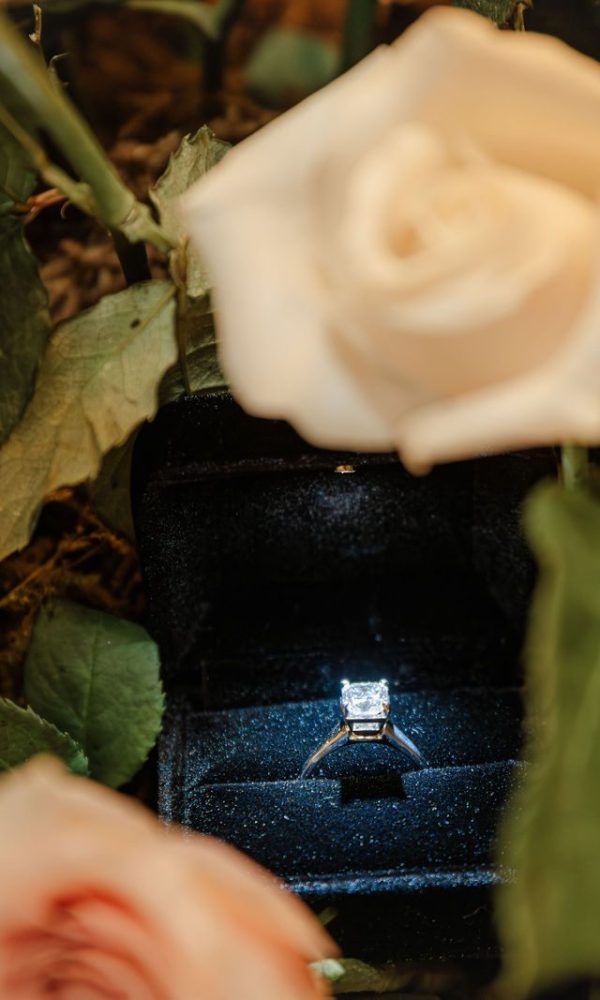 2f93a1a010b1f80a42e81586b4e42d84-xxlarge