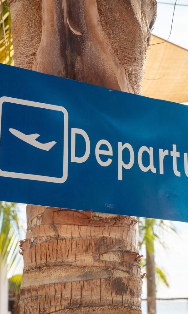 651686494c79a04ce9d02797fabfbf5c-xxlarge