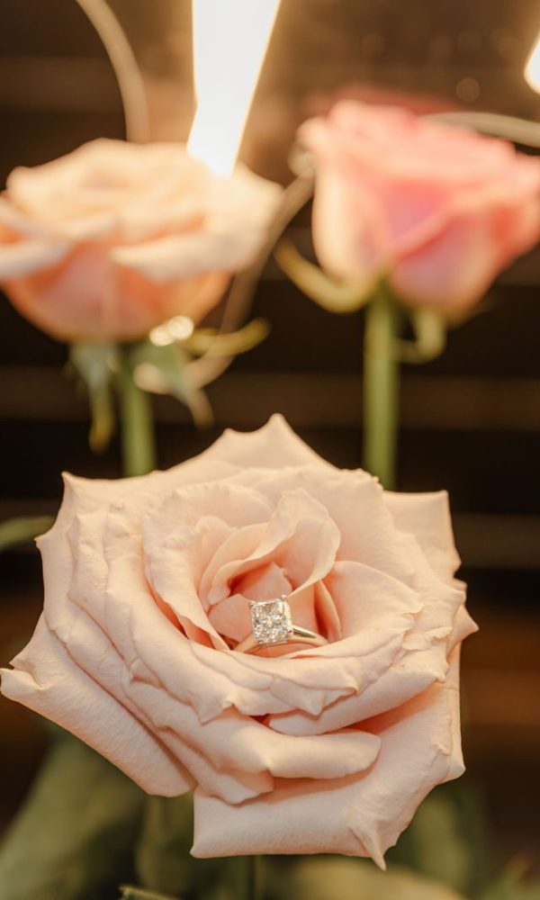 a03197477a13365ddc7ca9b900ae6895-xxlarge