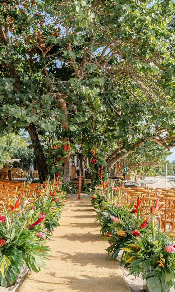 a73526a75301d9fdb8a2d2a2db9dd0cc-xxlarge