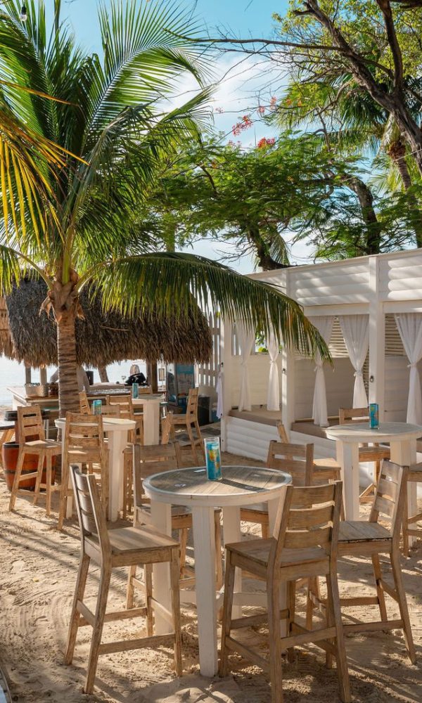 cffe61fa8ed956b645c5933420ce853d-xxlarge