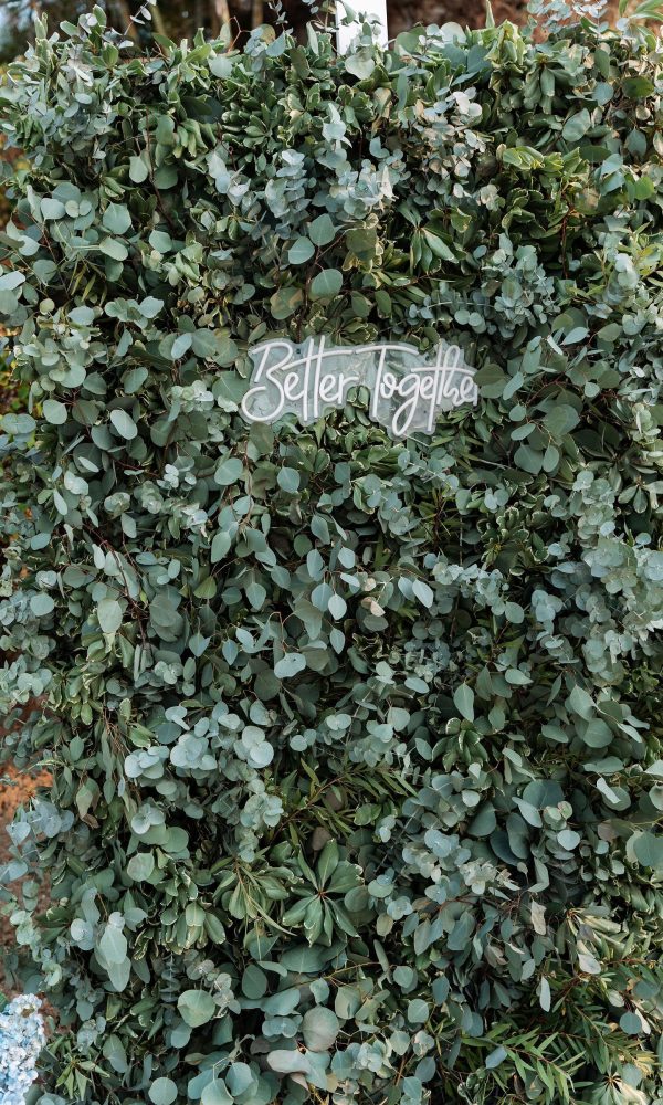 e61af691b7f7a4693a2db9ff5888eb50-xxlarge